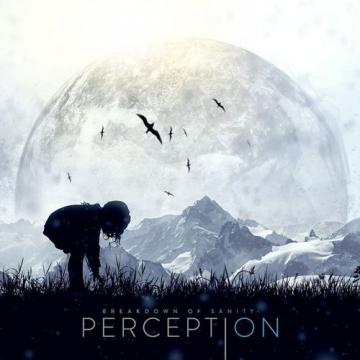 Breakdown Of Sanity Perception