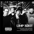 Limp Bizkit - Icon